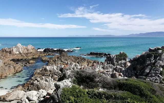 WhatsApp_Image_2021_10_07_at_15.07.43_1633615088