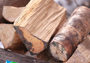 Camping Tip: Place Dry Firewood Under Your Car