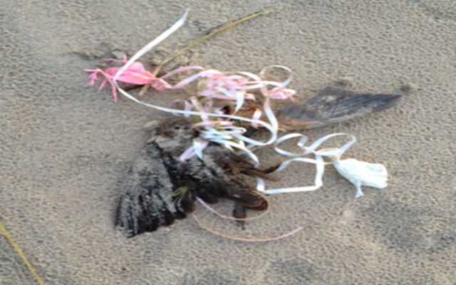 245088616_4723323504385801_4471560170876722103_n_1634039336