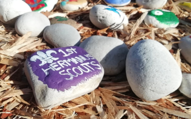 WhatsApp_Image_2021_10_13_at_12.12.51_1634134267