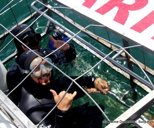Daily Blog: 13 October 2021 | Shark Cage Diving in South Africa