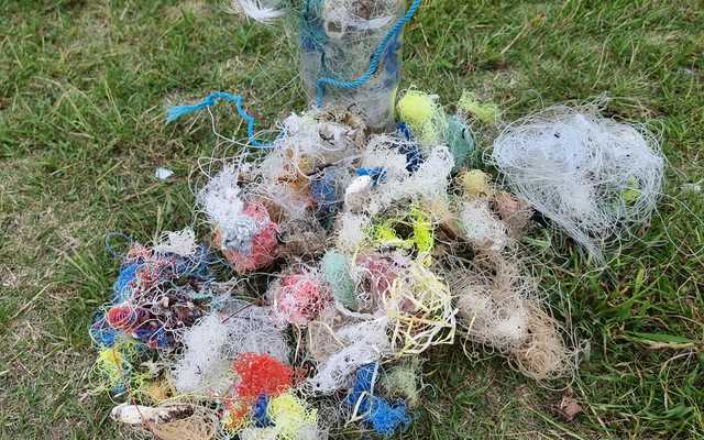 243098997_2668583266781886_6824777825198382425_n_1_1634197398