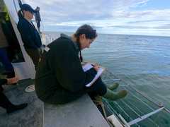 Research and Data Capturing