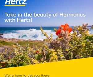 Explore Hermanus with Hertz!