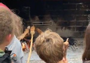 Farm-Style Breakfast at Beloftebos Farm Cottages