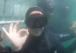 Guest video of her shark trip with White Shark Projects