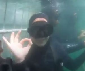 Guest video of her shark trip with White Shark Projects