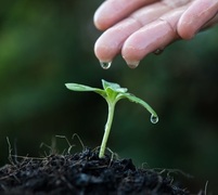 Save Time, Energy and Water!