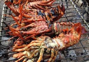 WEST COAST ROCK LOBSTER SEASON 2021/2022 DATES ANNOUNCED