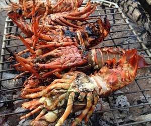 WEST COAST ROCK LOBSTER SEASON 2021/2022 DATES ANNOUNCED