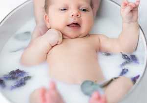 Newborn Karah & Family