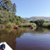 Kayaking Tour - Alpha Sierra Adventures - Xplorio™ Stanford