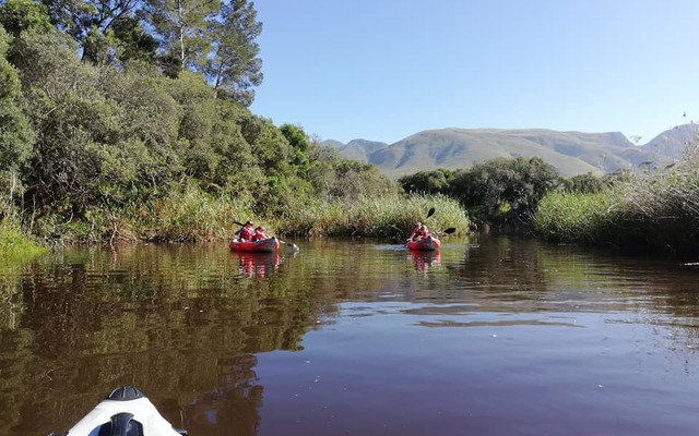 244529457_229754615861862_8810272834392937019_n_1_1635229493