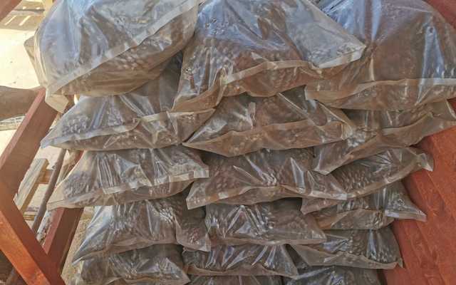 WhatsApp_Image_2021_10_26_at_14.48.00_1635318730