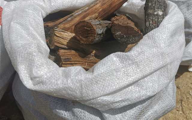 WhatsApp_Image_2021_10_26_at_14.48.00_1_1635318730