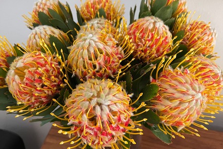 243807031_3024336987817597_2868121029925675198_n_1635498710