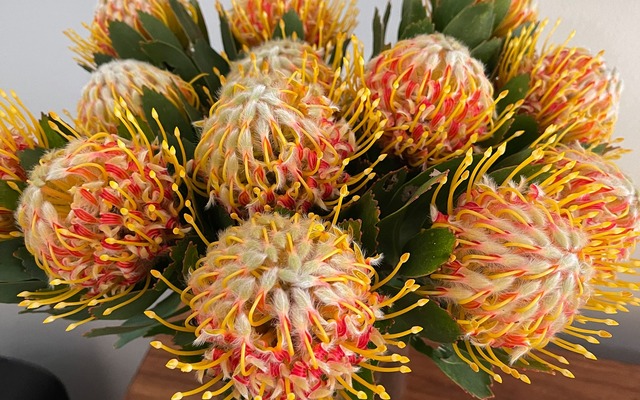 243807031_3024336987817597_2868121029925675198_n_1635498710