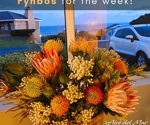 Fresh Fynbos