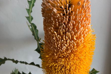 244017656_3024336947817601_1283852698280462047_n_1635498711