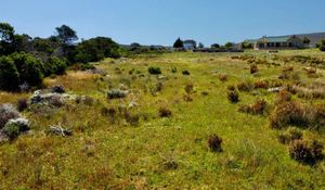 R895,000 | 4,011m² Vacant Land For Sale in Baardskeerdersbos