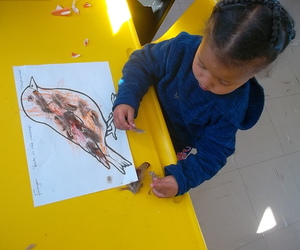 Good Times at Pikkewyntjies