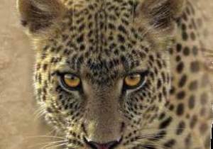 November 2021 Clearance Sale