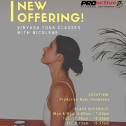 NEW Offering! Vinyasa Yoga Classes with Nicolene