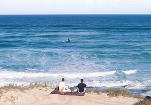 BOOK YOUR YEAR END GETAWAY!