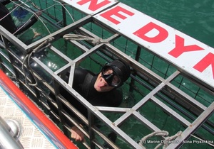 Daily Blog: 08 November 2021 | Shark Cage Diving in South Africa