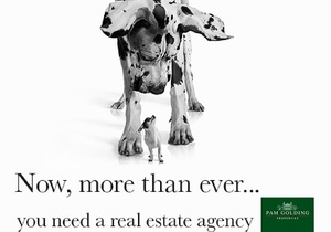 Real estate agency with a proven track record you can trust