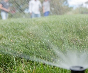 Let your irrigation system do the work for you!