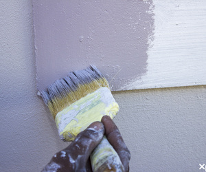 Paint Your Home With Top Seal This Coming Summer!