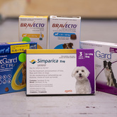 Tick and Flea Treatment - The Pet Grocer - Xplorio™ Gansbaai