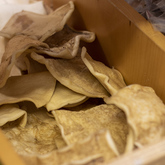 Treats - The Pet Grocer - Xplorio™ Gansbaai