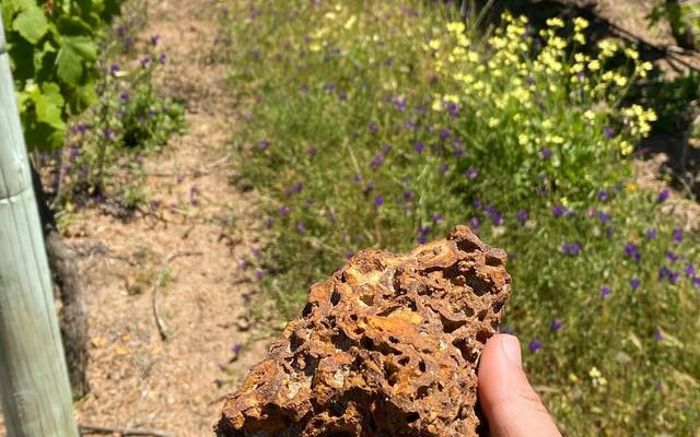 254588124_6400373490003885_2569616915452611411_n_1636700996