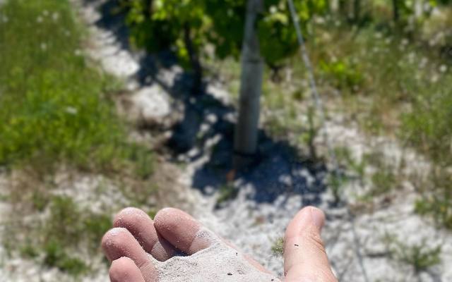 254679866_6400373476670553_2166748240178040312_n_1636700996