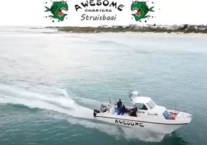 Awesome Charters Offers Boat Angling Trips