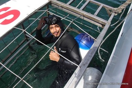 Daily Blog: 15 November 2021 | Shark Cage Diving in South Africa