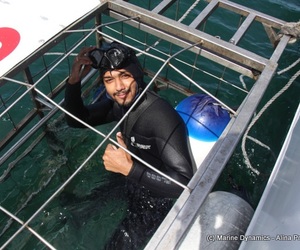 Daily Blog: 15 November 2021 | Shark Cage Diving in South Africa