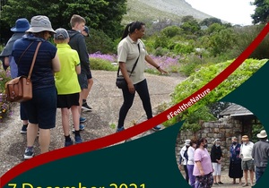 7 + 16 December 2021​​​​​​​: Free Guided Tours