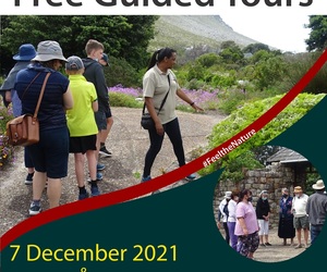 7 + 16 December 2021​​​​​​​: Free Guided Tours