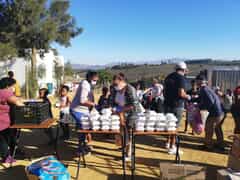 An Urgent Cry for Help - Food Delivery Vehicle Needed