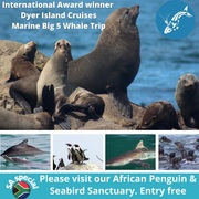 Next Dyer Island Marine Big 5 Tour: 23 November 2021