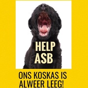 Please Help Us Survive This Festive Season