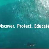 Discover. Protect. Educate.