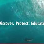 Discover. Protect. Educate. Discover. Protect. Educate.
