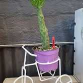 New Items - Lili & Co - Xplorio™ Kleinmond