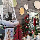 New Items - Lili & Co - Xplorio™ Kleinmond