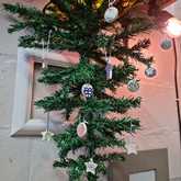 New Items - Lili & Co - Xplorio™ Kleinmond