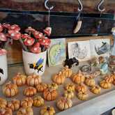 New Items - Lili & Co - Xplorio™ Kleinmond